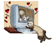 Download free ferrets animated gifs 18