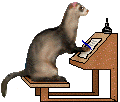 Download free ferrets animated gifs 17