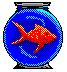 animated gifs fishes