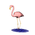 animated gifs flamingos