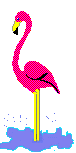 Download free flamingos animated gifs 3