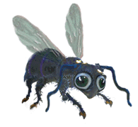 Download free flies animated gifs 3