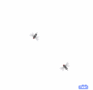 Download free flies animated gifs 1
