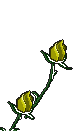 Download free Flowers animated gifs 25