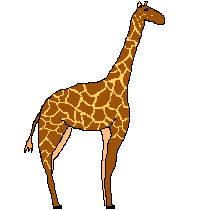 Download free giraffes animated gifs 25