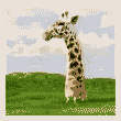 Download free giraffes animated gifs 19