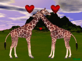 Download free giraffes animated gifs 4