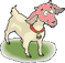 animated gifs Goats