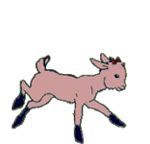 Download free Goats animated gifs 4