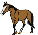 animated gifs horses