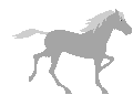 animated gifs horses