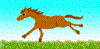Download free horses animated gifs 22