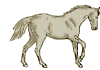 Download free horses animated gifs 14