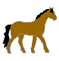Download free horses animated gifs 9