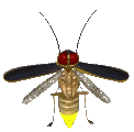 Download free insects animated gifs 8