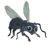 Download free insects animated gifs 19
