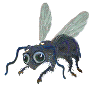 Download free insects animated gifs 18