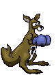 animated gifs kangaroos
