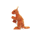 Download free kangaroos animated gifs 21