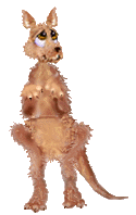 Download free kangaroos animated gifs 6