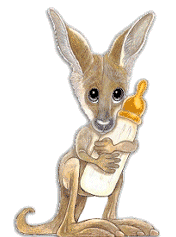 Download free kangaroos animated gifs 2