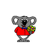 Download free koala bears animated gifs 4