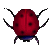 Download free ladybugs animated gifs 8