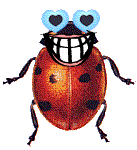 Download free ladybugs animated gifs 7