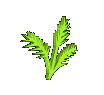 Download free Leaves animated gifs 9