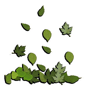 Download free Leaves animated gifs 22