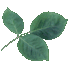 Download free Leaves animated gifs 21
