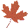 animated gifs Leaves