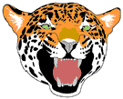 Download free leopards animated gifs 3