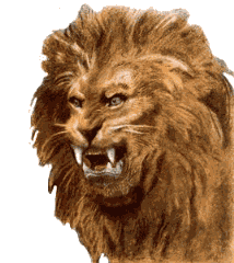 Download free lions animated gifs 25