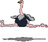 Download free ostriches animated gifs 26