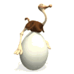 animated gifs ostriches