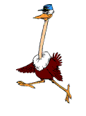 Download free ostriches animated gifs 7