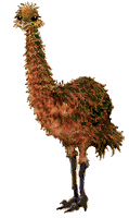 Download free ostriches animated gifs 5