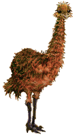 Download free ostriches animated gifs 3