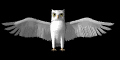 animated gifs owls