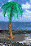 Download free palms animated gifs 10