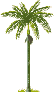 Download free palms animated gifs 5