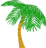 Download free palms animated gifs 4