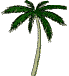 Download free palms animated gifs 1