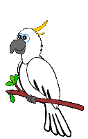 Download free parrots animated gifs 14