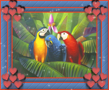 animated gifs parrots