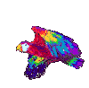 Download free parrots animated gifs 10