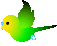 Download free parrots animated gifs 1