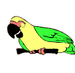 Download free parrots animated gifs 19