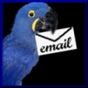 animated gifs parrots